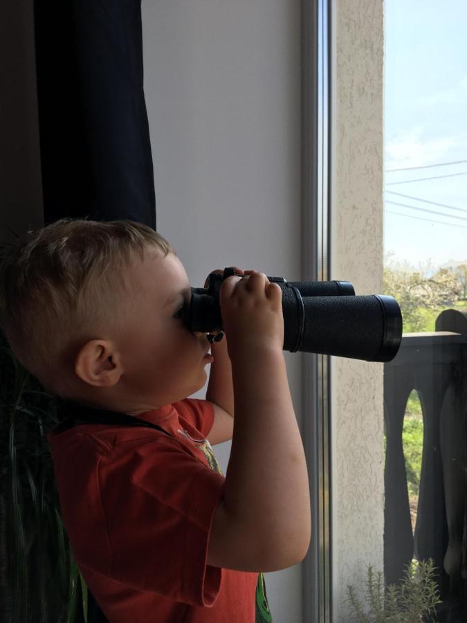 Sarnia Polana Villa Kostrzyca Bagian luar foto