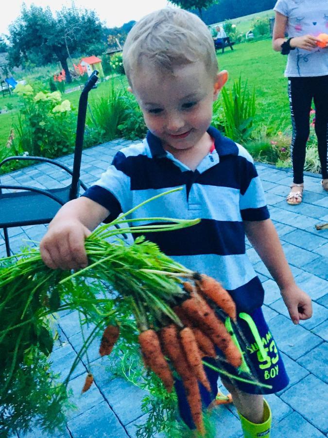 Sarnia Polana Villa Kostrzyca Bagian luar foto