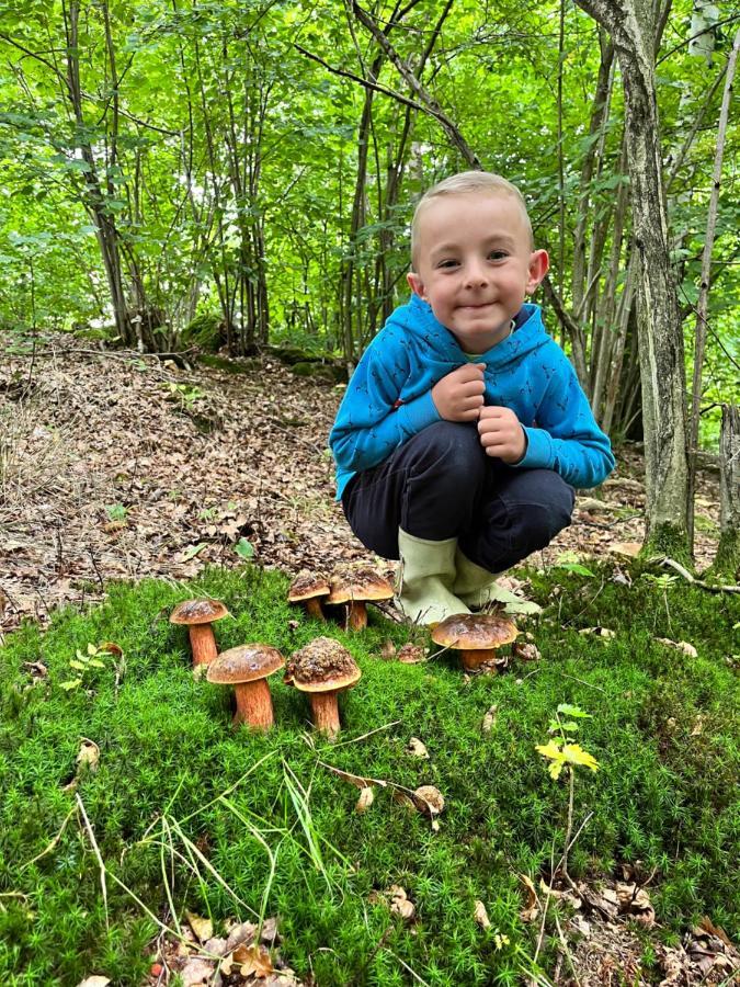 Sarnia Polana Villa Kostrzyca Bagian luar foto