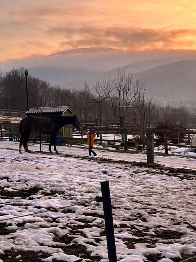 Sarnia Polana Villa Kostrzyca Bagian luar foto