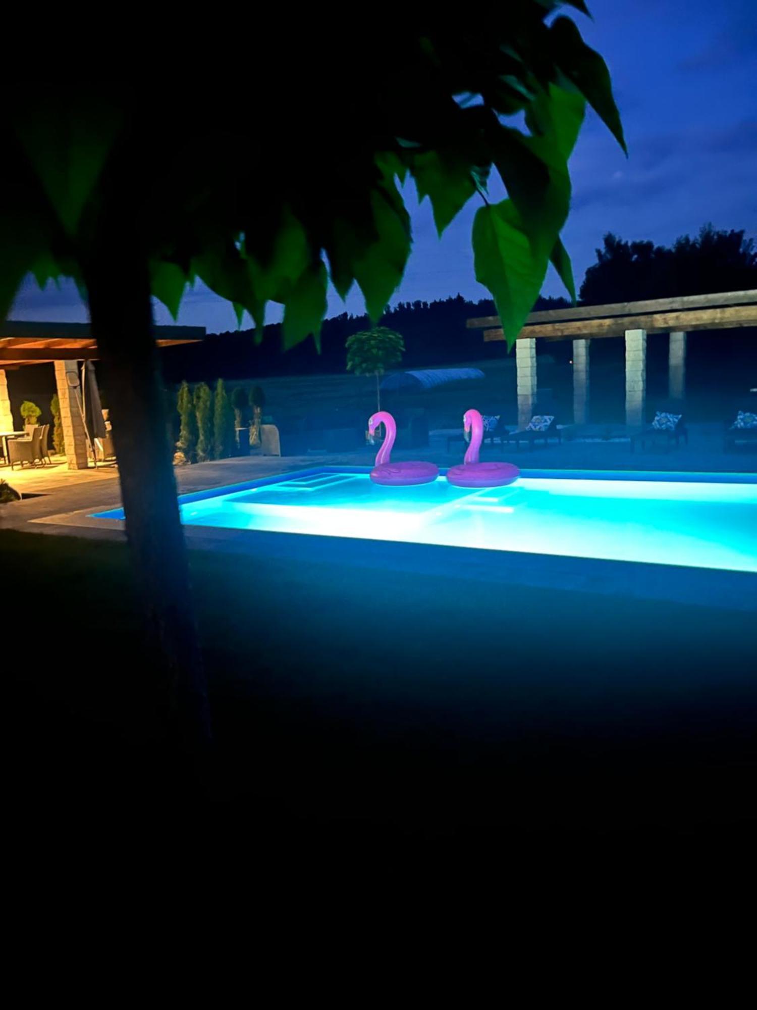 Sarnia Polana Villa Kostrzyca Bagian luar foto